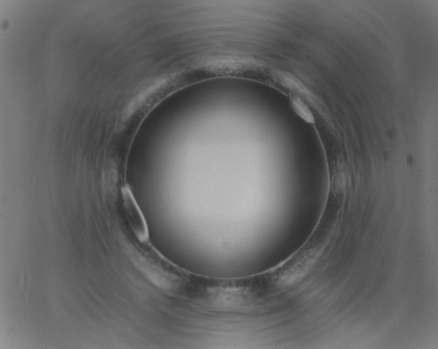 X0000067910448200604271922