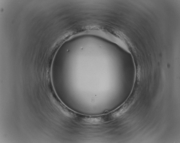 X0000067910449200604271922