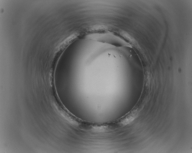 X0000067910450200604271922