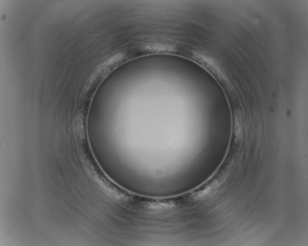 X0000067910453200604271922