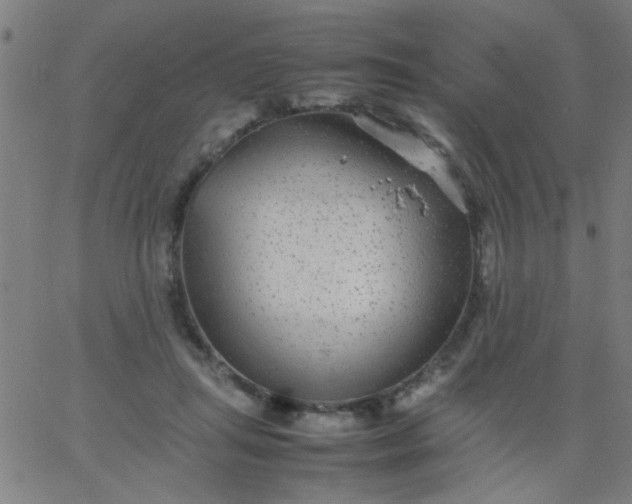 X0000067910455200604271922