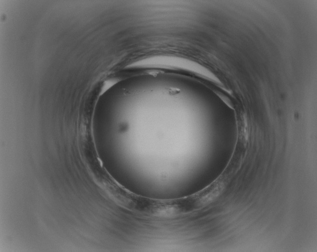 X0000067910456200604271922