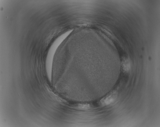 X0000067910458200604271922