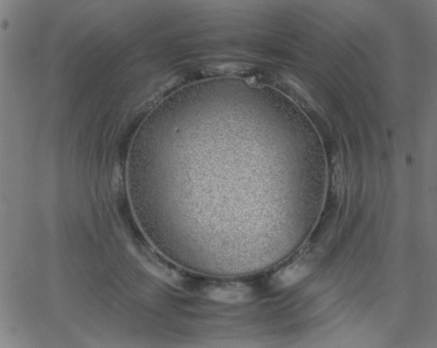 X0000067910459200604271922