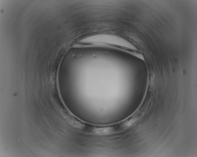 X0000067910461200604271922