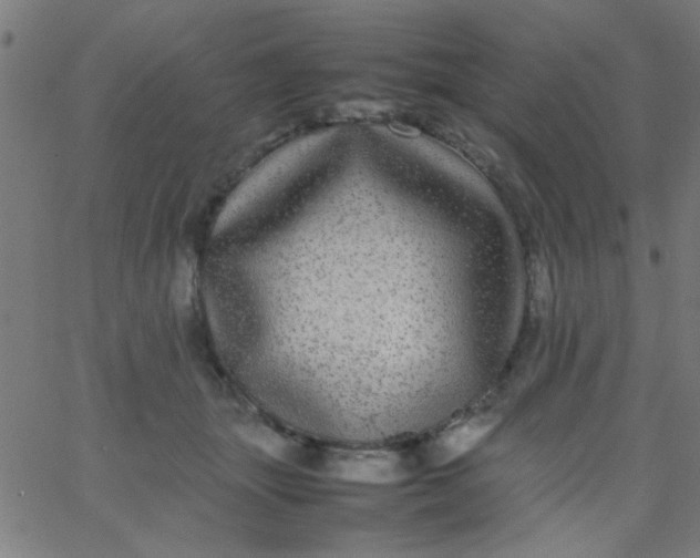 X0000067910463200604271922