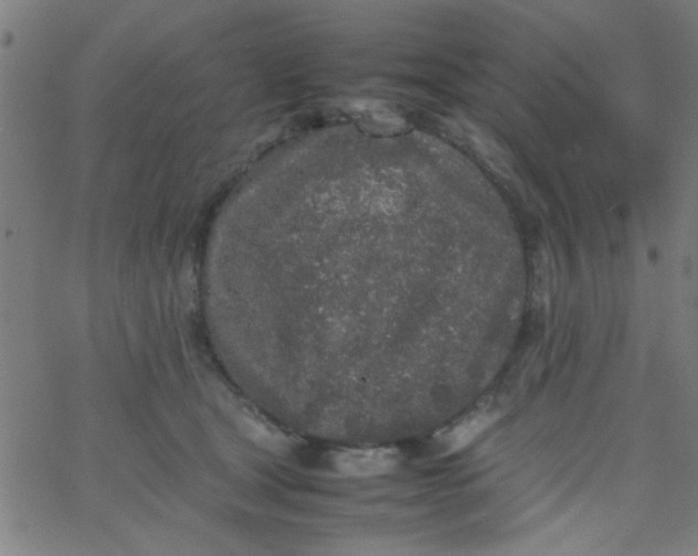 X0000067910465200604271922