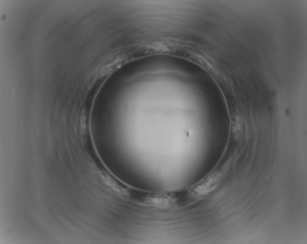 X0000067910466200604271922