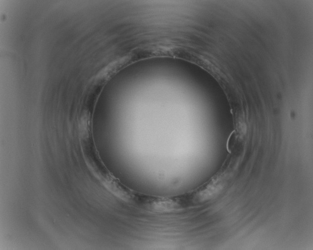 X0000067910468200604271922