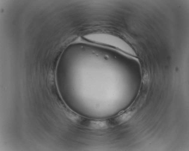 X0000067910469200604271922