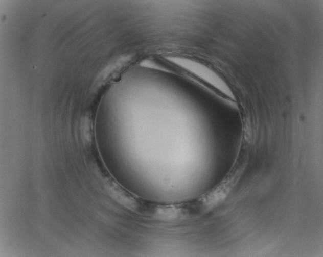 X0000067910470200604271922