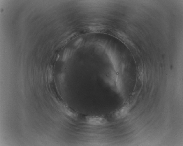 X0000067910471200604271922