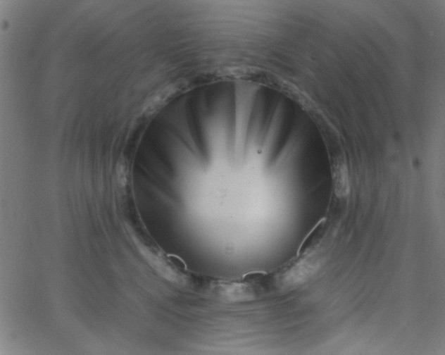 X0000067910472200604271922