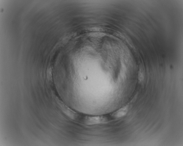 X0000067910473200604271922