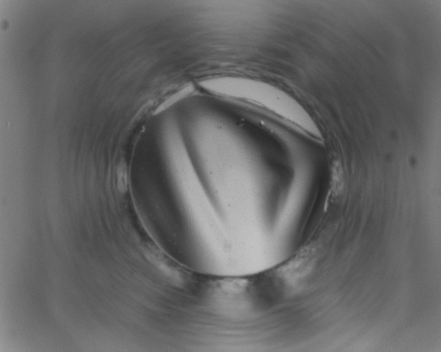 X0000067910474200604271922