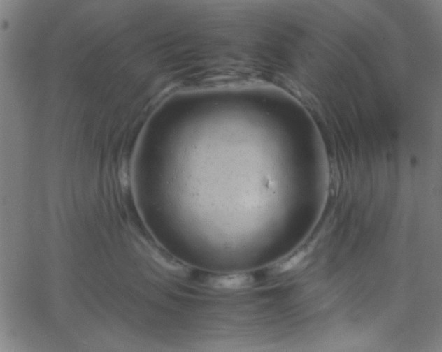 X0000067910479200604271922