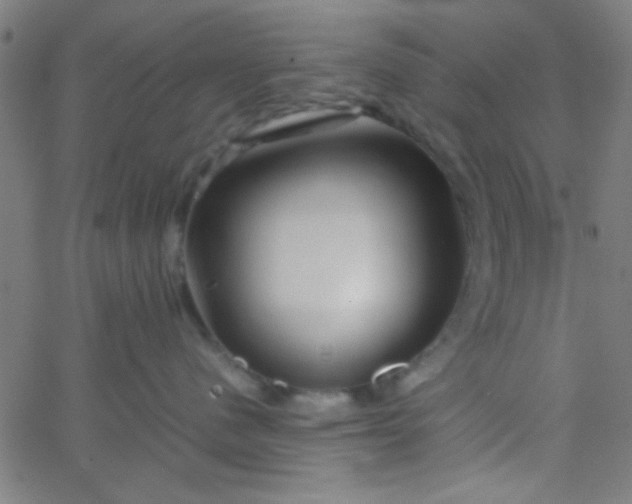 X0000067910480200604271922