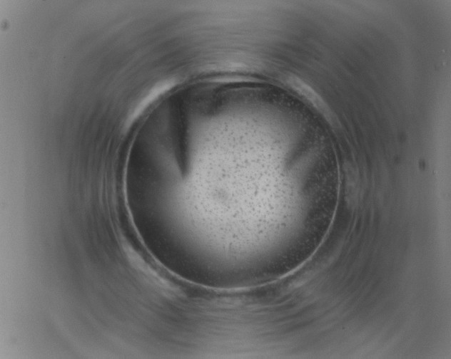 X0000067910482200604271921