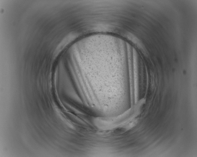 X0000067910486200604271921