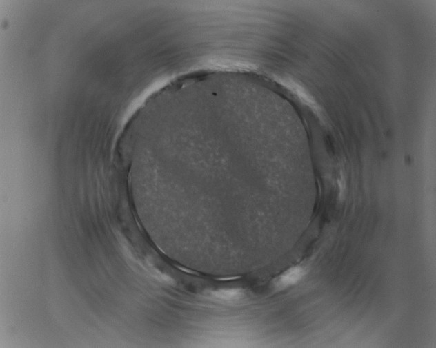 X0000067910488200604271921