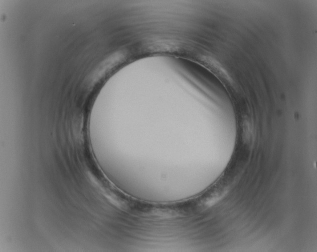 X0000067910490200604271921