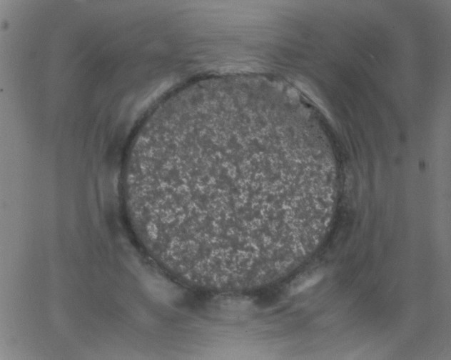 X0000067910491200604271921