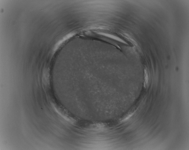 X0000067910492200604271921