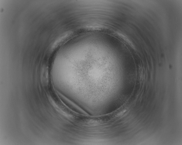 X0000067910494200604271921