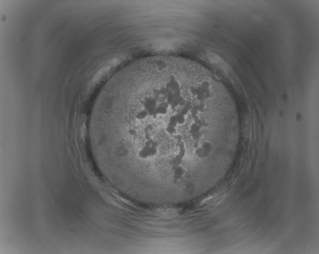 X0000067910495200604271921