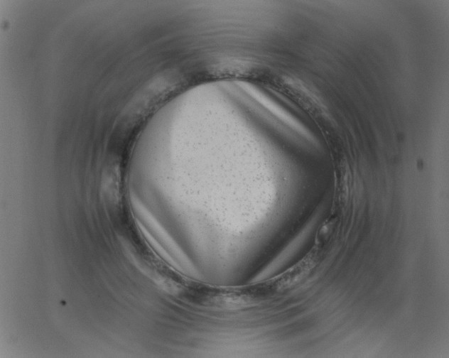 X0000067910498200604271921