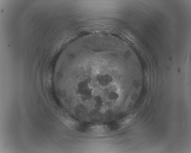 X0000067910499200604271921