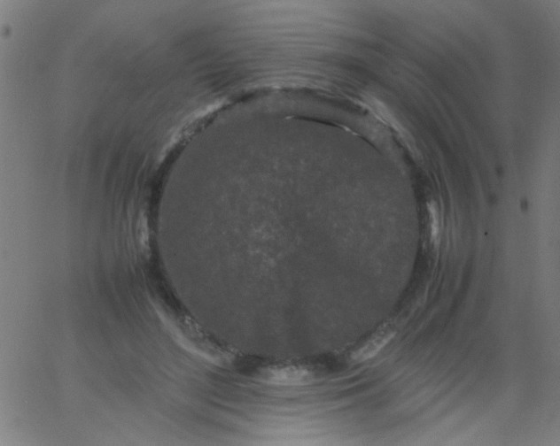 X0000067910500200604271921