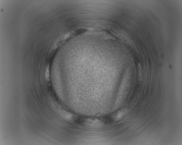 X0000067910502200604271921