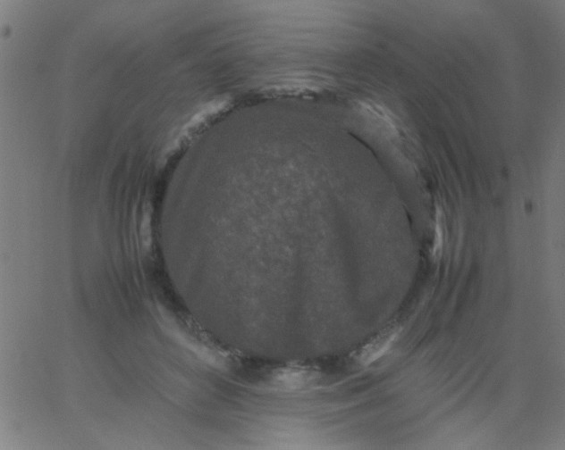 X0000067910504200604271921