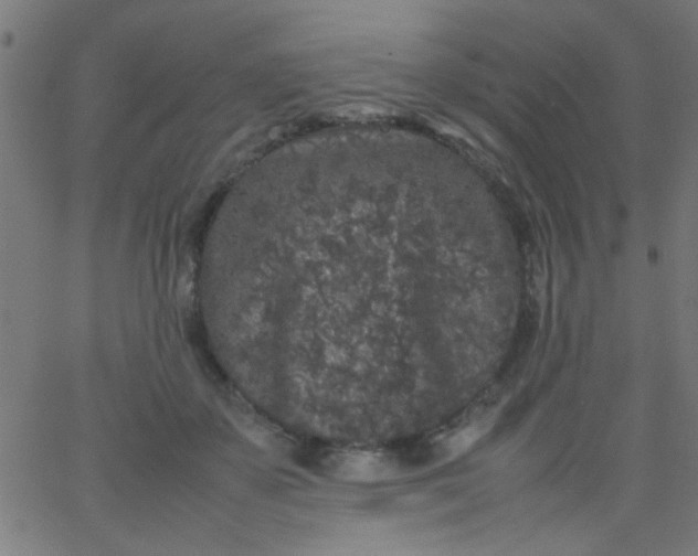 X0000067910507200604271921