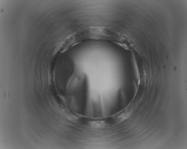 X0000067910508200604271921