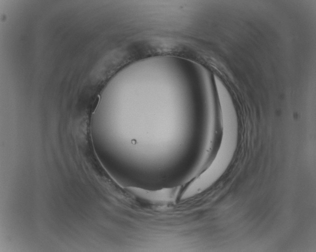 X0000067910509200604271921