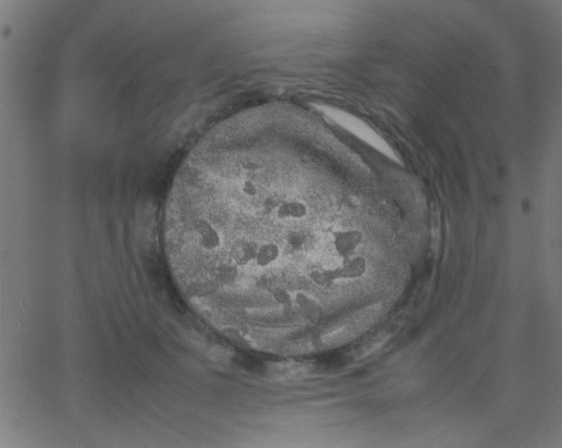 X0000067910511200604271921