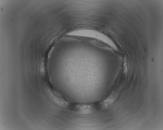 X0000067910512200604271921