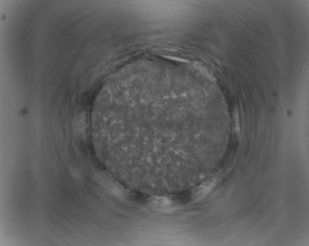 X0000067910519200604271921