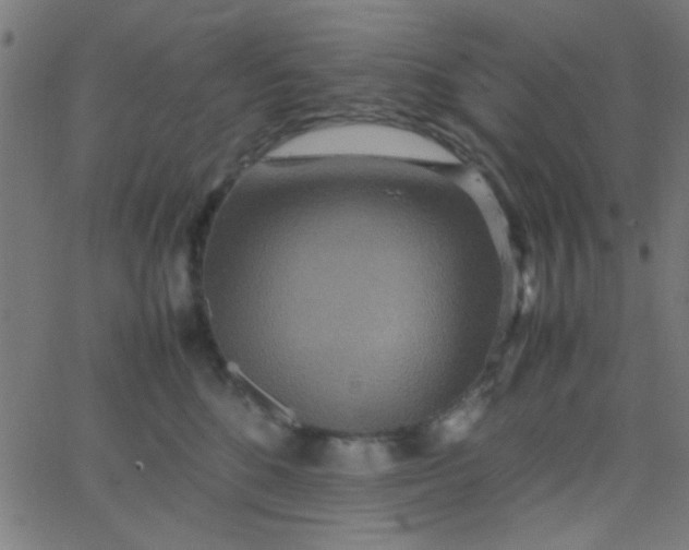 X0000067910520200604271921