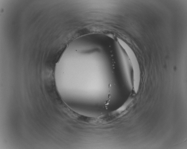 X0000067910521200604271921