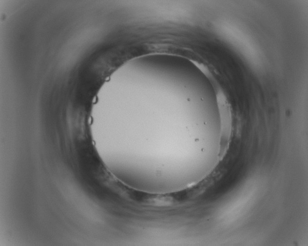 X0000067910525200604271921