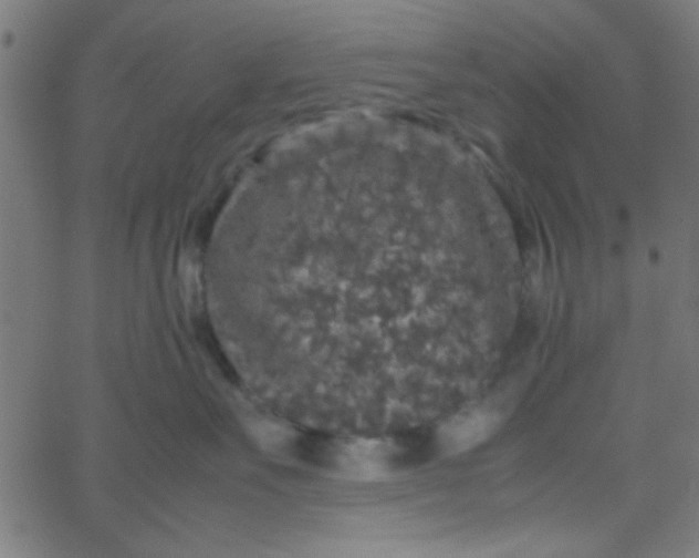 X0000067910527200604271921