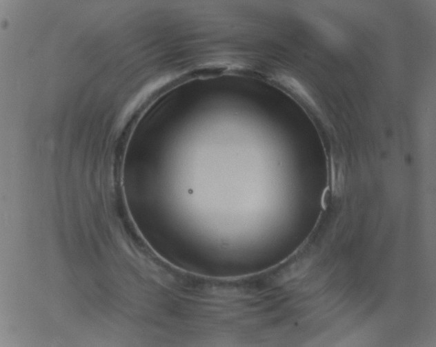 X0000067910531200604271920