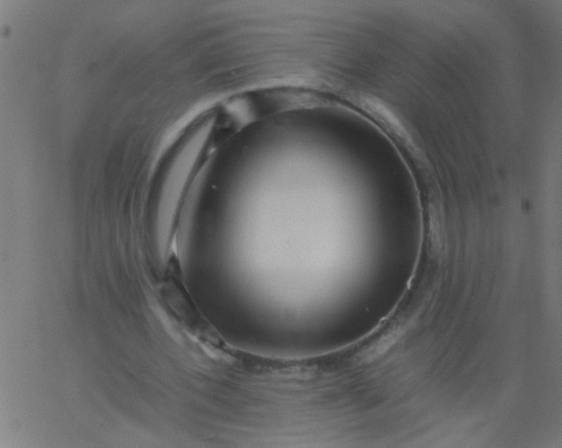 X0000067910532200604271920