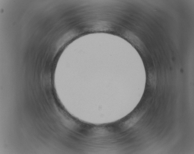 X0000067910534200604271920