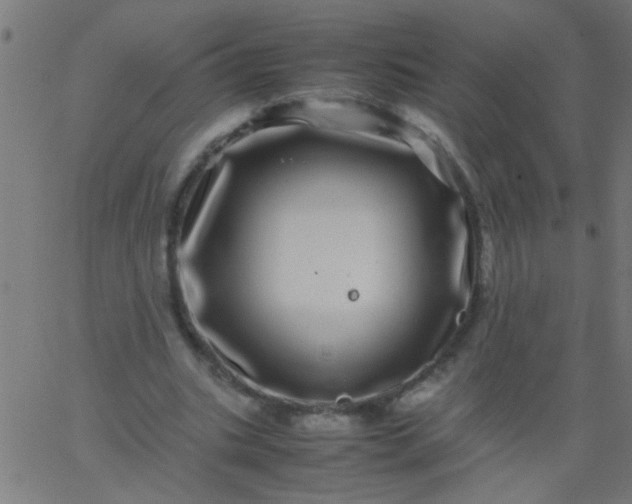 X0000067910535200604271920