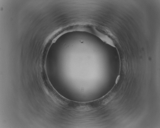 X0000067910536200604271920