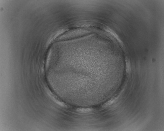 X0000067910537200604271920